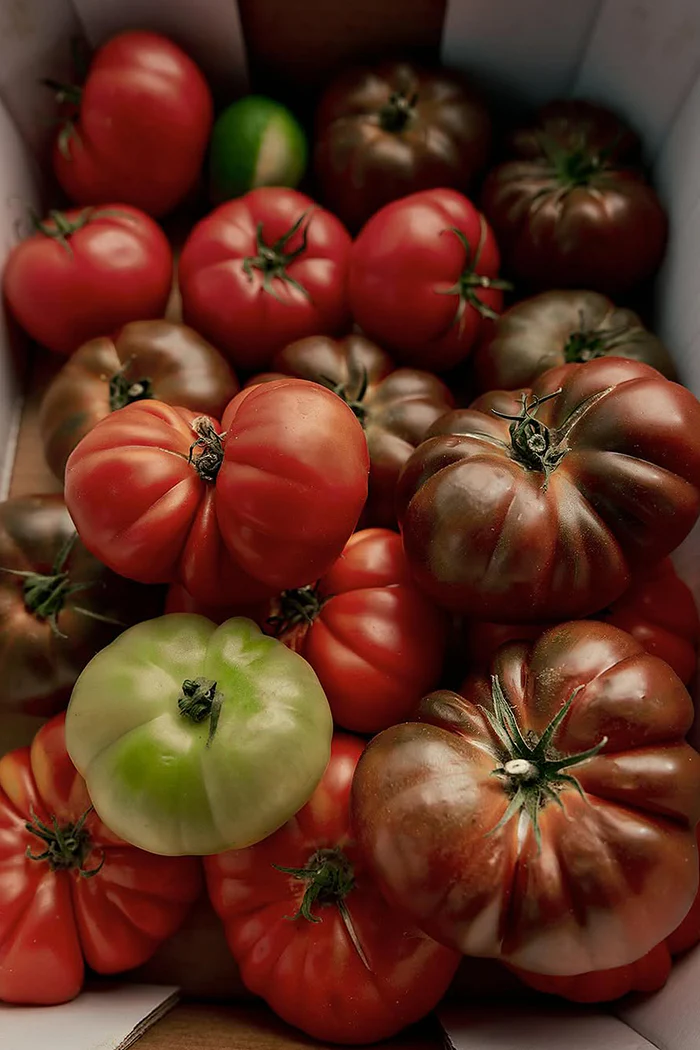 ROMA HEIRLOOM TOMATO CANDLE - Image 6